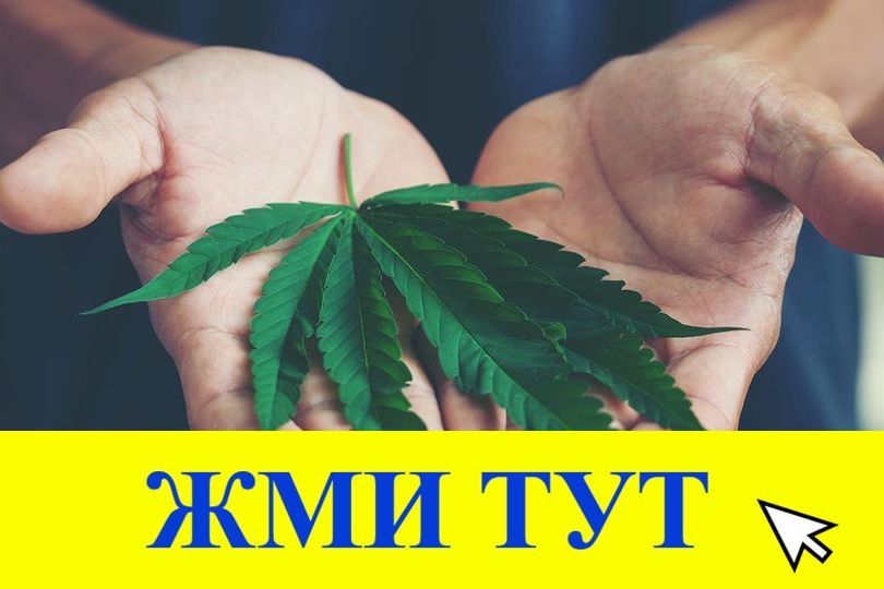 Купить наркотики в Ставрополе